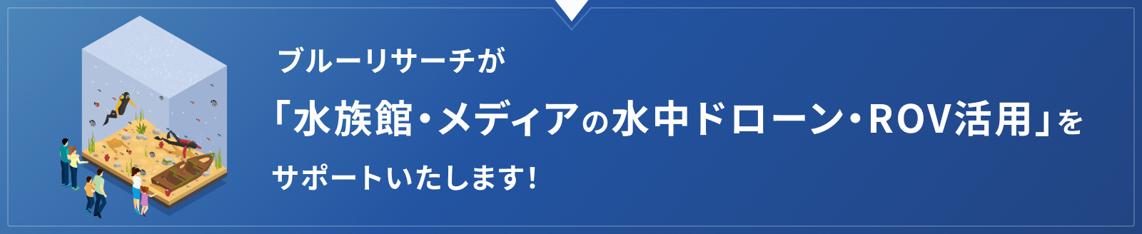ブルーリサーチが「水族館・メディアの水中ドローン・ROV活用」をサポートいたします！